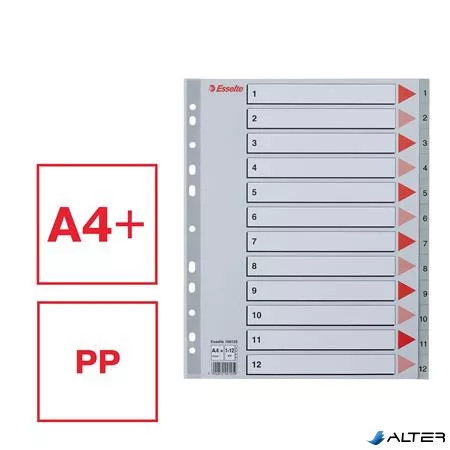 Regiszter, műanyag, A4 Maxi, 1-12, ESSELTE, szürke