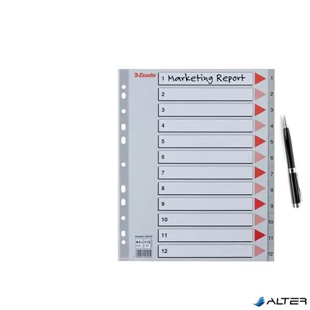 Regiszter, műanyag, A4 Maxi, 1-12, ESSELTE, szürke