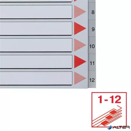 Regiszter, műanyag, A4 Maxi, 1-12, ESSELTE, szürke