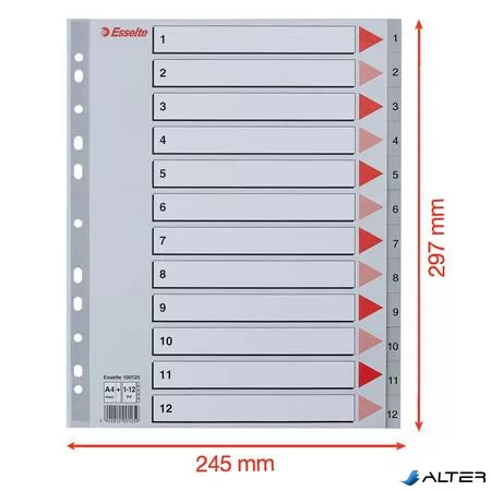 Regiszter, műanyag, A4 Maxi, 1-12, ESSELTE, szürke