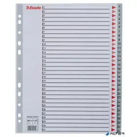 Regiszter, műanyag, A4 Maxi, 1-31, ESSELTE, szürke