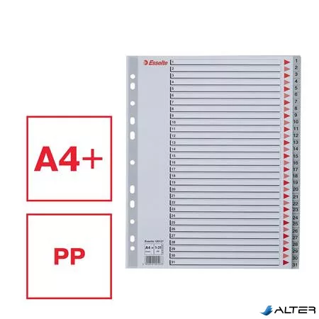 Regiszter, műanyag, A4 Maxi, 1-31, ESSELTE, szürke