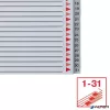 Regiszter, műanyag, A4 Maxi, 1-31, ESSELTE, szürke