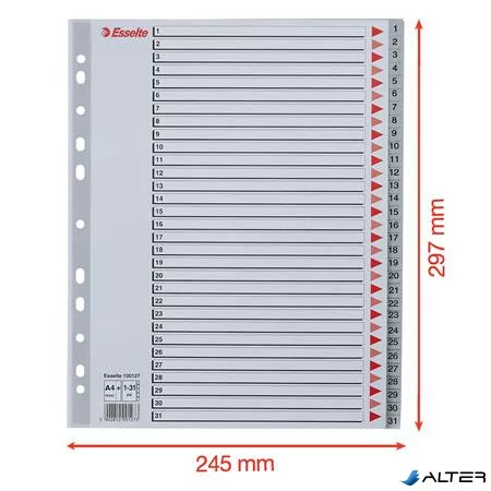 Regiszter, műanyag, A4 Maxi, 1-31, ESSELTE, szürke