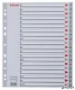 Regiszter, műanyag, A4 Maxi, A-Z, ESSELTE, szürke
