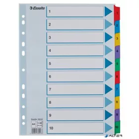 Regiszter, karton, A4, 1-10, ESSELTE "Mylar"