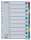Regiszter, karton, A4, 1-10, ESSELTE "Mylar"
