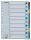 Regiszter, karton, A4, 1-10, ESSELTE "Mylar"