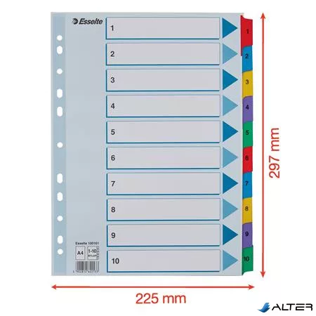 Regiszter, karton, A4, 1-10, ESSELTE "Mylar"