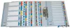Regiszter, karton, A4, 1-10, ESSELTE "Mylar"