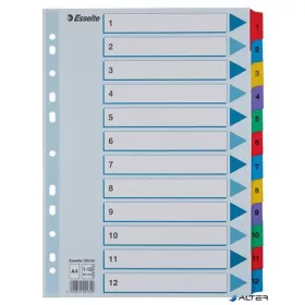 Regiszter, karton, A4, 1-12, ESSELTE "Mylar"