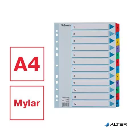 Regiszter, karton, A4, 1-12, ESSELTE "Mylar"