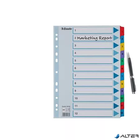 Regiszter, karton, A4, 1-12, ESSELTE "Mylar"