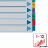 Regiszter, karton, A4, 1-12, ESSELTE "Mylar"