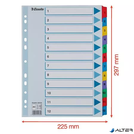 Regiszter, karton, A4, 1-12, ESSELTE "Mylar"