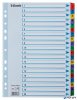 Regiszter, karton, A4, 1-20, ESSELTE "Mylar"