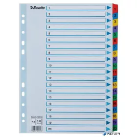 Regiszter, karton, A4, 1-20, ESSELTE "Mylar"