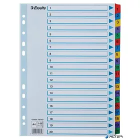 Regiszter, karton, A4, 1-20, ESSELTE "Mylar"
