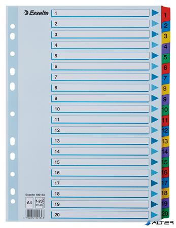Regiszter, karton, A4, 1-20, ESSELTE "Mylar"