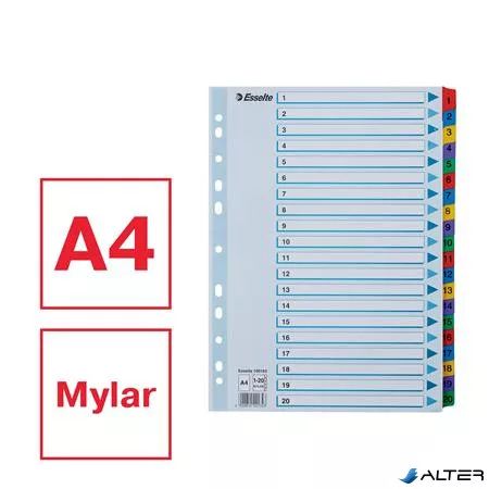 Regiszter, karton, A4, 1-20, ESSELTE "Mylar"