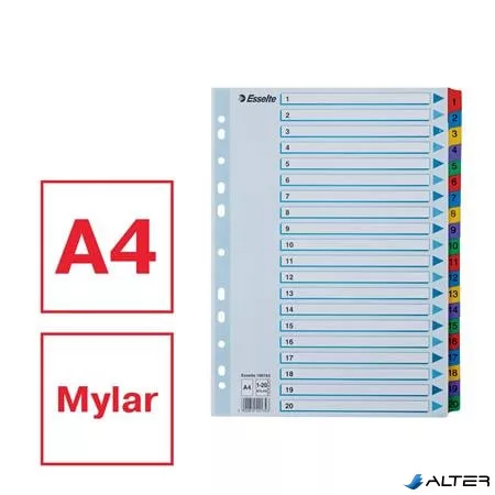 Regiszter, karton, A4, 1-20, ESSELTE "Mylar"