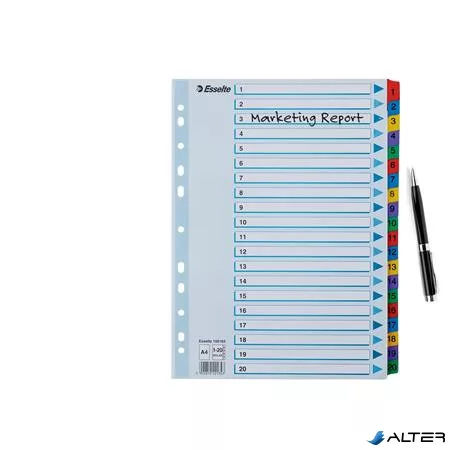 Regiszter, karton, A4, 1-20, ESSELTE "Mylar"