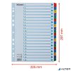 Regiszter, karton, A4, 1-20, ESSELTE "Mylar"