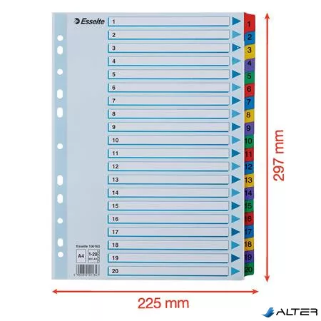 Regiszter, karton, A4, 1-20, ESSELTE "Mylar"