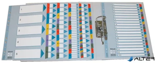 Regiszter, karton, A4, 1-20, ESSELTE "Mylar"