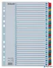 Regiszter, karton, A4, 1-31, ESSELTE "Mylar"