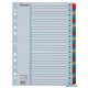 Regiszter, karton, A4, 1-31, ESSELTE "Mylar"