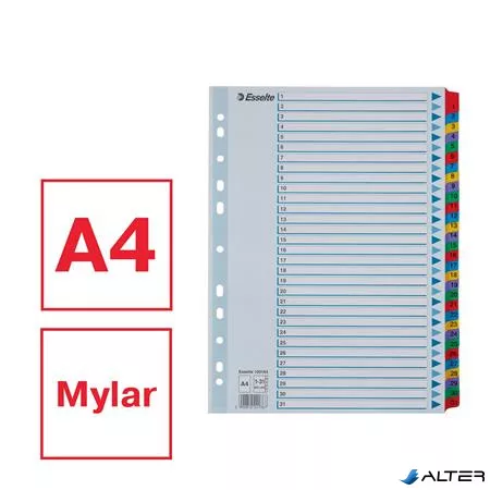Regiszter, karton, A4, 1-31, ESSELTE "Mylar"