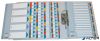 Regiszter, karton, A4, A-Z, ESSELTE "Mylar"