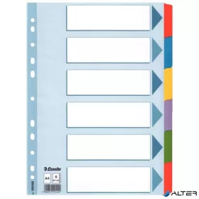   Regiszter, laminált karton, A4, 6 részes, ESSELTE "Mylar"