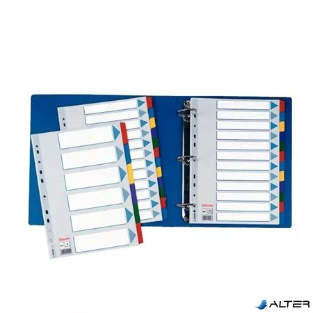 Regiszter, laminált karton, A4, 6 részes, ESSELTE "Mylar"