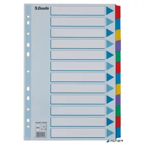   Regiszter, laminált karton, A4, 12 részes, ESSELTE "Mylar"