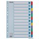 Regiszter, laminált karton, A4, 12 részes, ESSELTE "Mylar"
