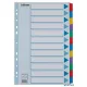 Regiszter, laminált karton, A4, 12 részes, ESSELTE "Mylar"
