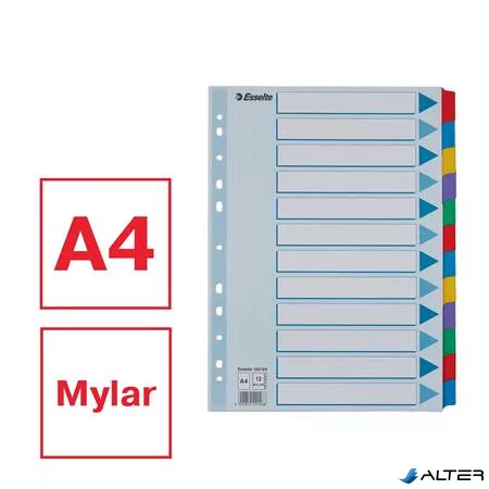 Regiszter, laminált karton, A4, 12 részes, ESSELTE "Mylar"