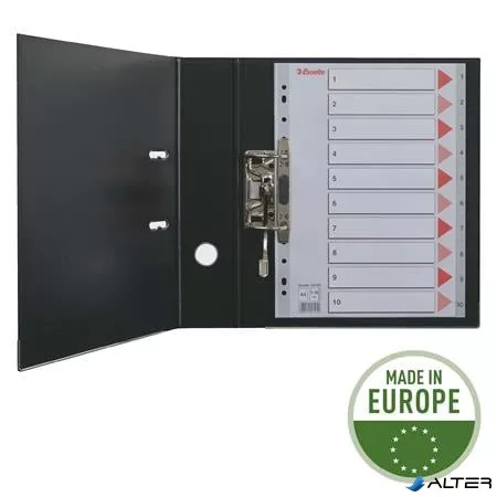 Regiszter, laminált karton, A4, 12 részes, ESSELTE "Mylar"
