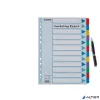 Regiszter, laminált karton, A4, 12 részes, ESSELTE "Mylar"