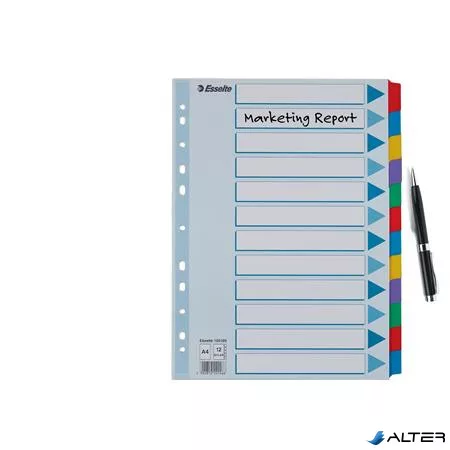 Regiszter, laminált karton, A4, 12 részes, ESSELTE "Mylar"