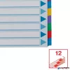 Regiszter, laminált karton, A4, 12 részes, ESSELTE "Mylar"