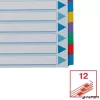 Regiszter, laminált karton, A4, 12 részes, ESSELTE "Mylar"