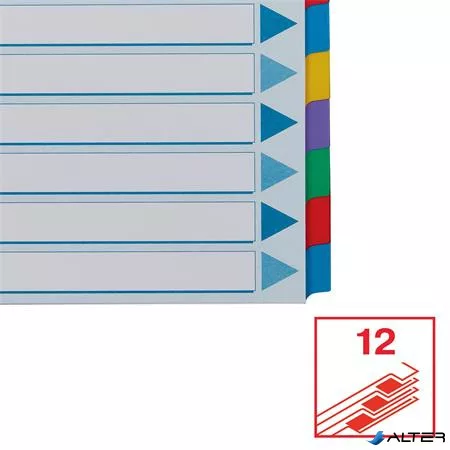 Regiszter, laminált karton, A4, 12 részes, ESSELTE "Mylar"