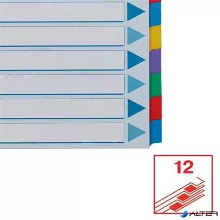 Regiszter, laminált karton, A4, 12 részes, ESSELTE "Mylar"