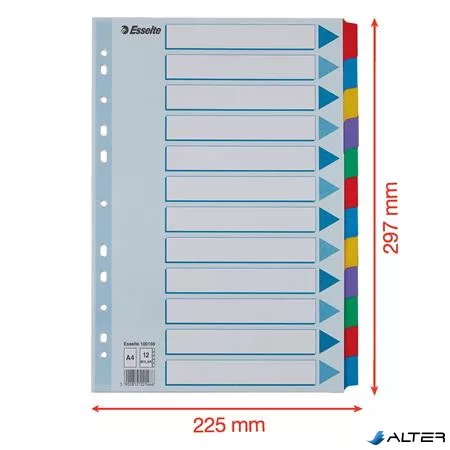 Regiszter, laminált karton, A4, 12 részes, ESSELTE "Mylar"