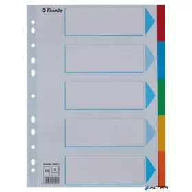   Regiszter, karton, A4, 5 részes, írható előlappal, ESSELTE "Standard", színes