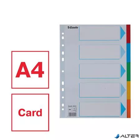 Regiszter, karton, A4, 5 részes, írható előlappal, ESSELTE "Standard", színes