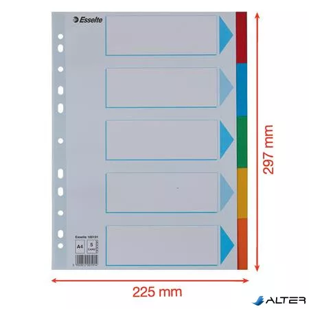 Regiszter, karton, A4, 5 részes, írható előlappal, ESSELTE "Standard", színes